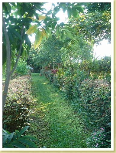 DSC03011