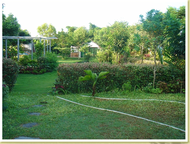 DSC03160