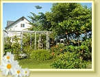 DSC03002