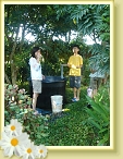 DSC03003