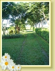 DSC03006