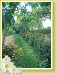 DSC03011