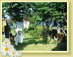 DSC03019