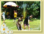 DSC03061