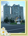 DSC03085