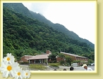 DSC03104