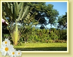 DSC03151