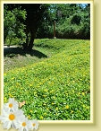 DSC03188